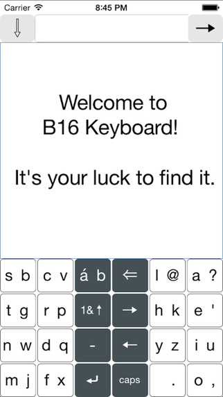 B16 Typing