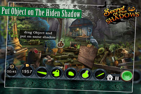 Secret Of The Shadow - Hidden Case screenshot 2