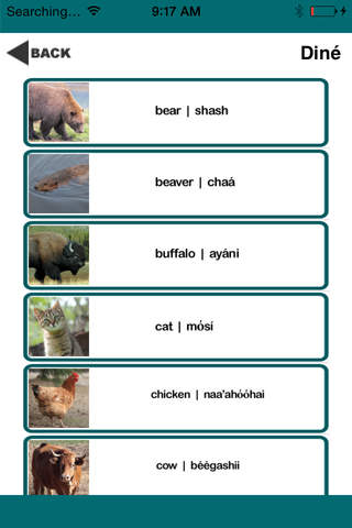 Native Language App screenshot 2