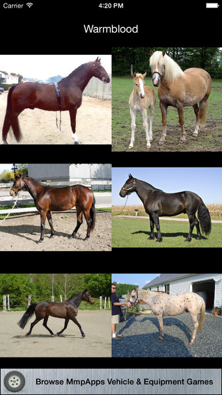 【免費教育App】3Strike Horses - Identify Horse Breeds-APP點子