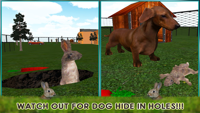 【免費遊戲App】Pet Rabbit 3D Simulator-APP點子