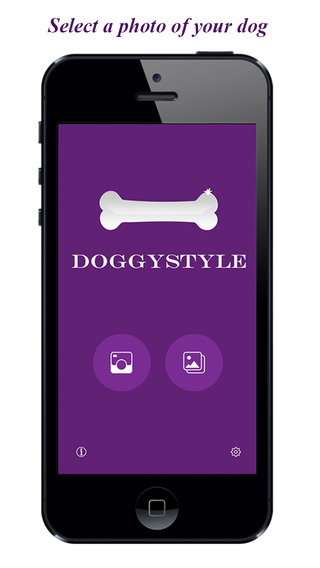DoggyStyle - Fashion For Your Dog