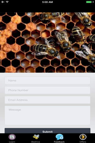 Building A Beehive - Backyard Beehive screenshot 4
