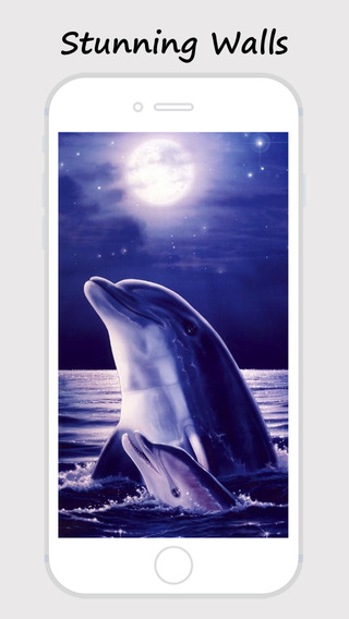 免費下載生活APP|Dolphin Wallpapers - Best Collections Of Dolphin Pictures app開箱文|APP開箱王