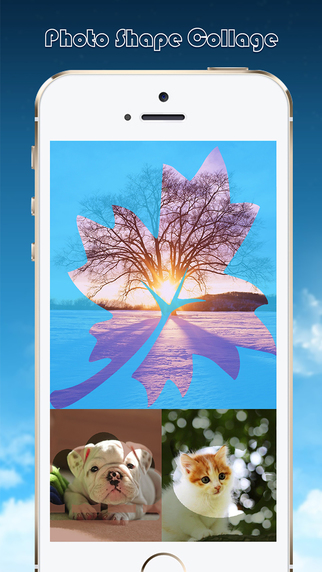 免費下載書籍APP|Photo Shape Collage Pro - Overlay & Frame Pics for Posts on Tagged app開箱文|APP開箱王