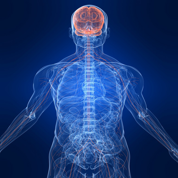 Human Body : Nervous System Trivia 教育 App LOGO-APP開箱王