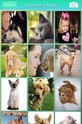 Best Dog Wallpapers+ for iPhone Swift: Customize Animal Background using Shelves and Frames screenshot 2