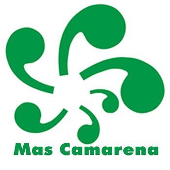 APP Colegio Mas Camarena LOGO-APP點子