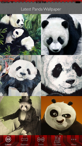 Best HD Panda Art Wallpapers for iOS 8 Backgrounds: Animal Theme Pictures Collection
