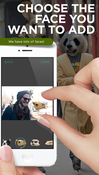 【免費娛樂App】Animal Head - Photo Editor with Funny Animal Face Stickers-APP點子