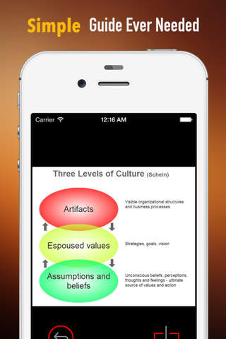 Three Levels of Culture Theory by Schein: Study Guide with Tutorial and Quotes screenshot 2