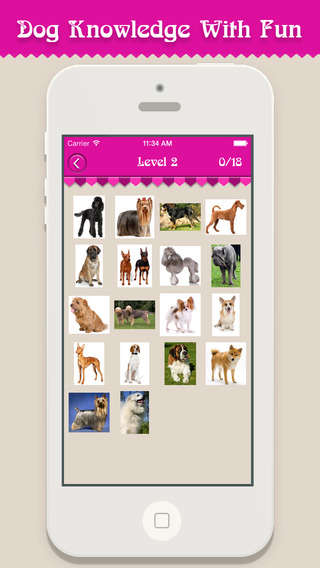 【免費遊戲App】Guess Dog - Dog Breeds Quiz!-APP點子