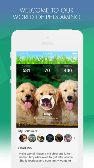 免費下載社交APP|Pets Amino - Community for Pet Fans: Tips and Tricks for Dog, Cat and Fish Owners app開箱文|APP開箱王