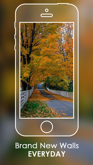 【免費攝影App】Autumn Wallpaper HD-APP點子