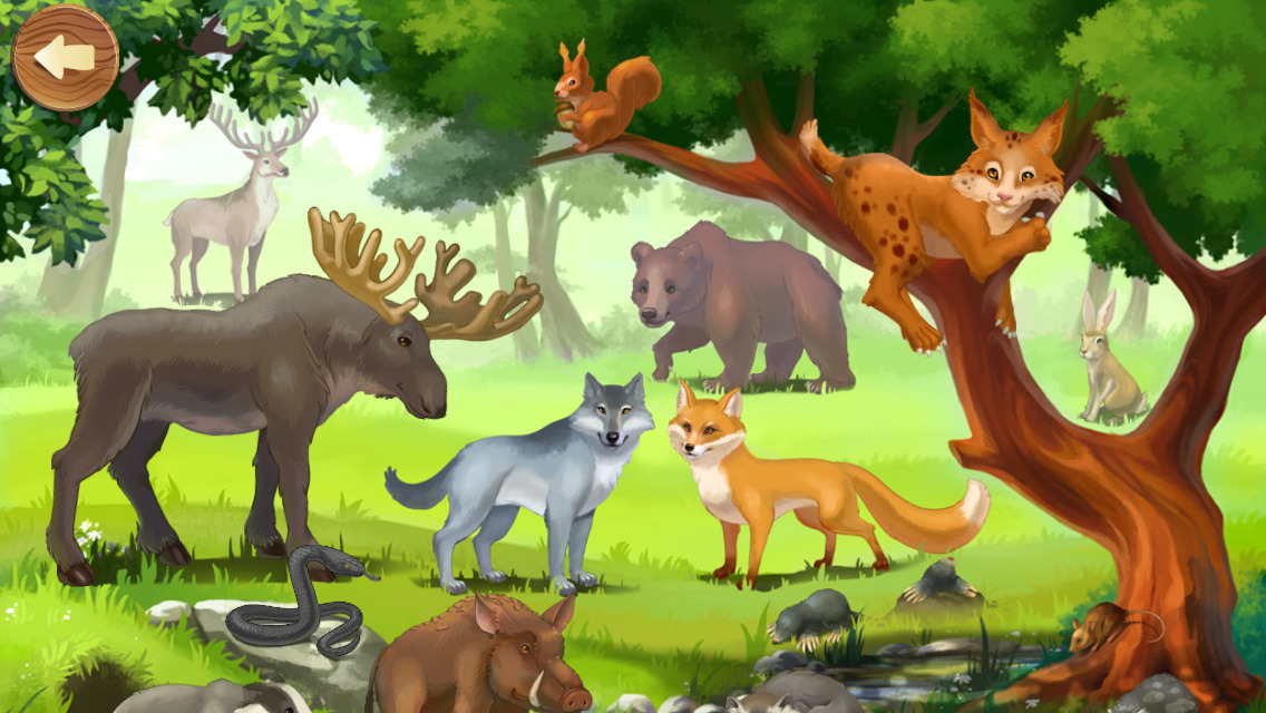 App Shopper: Forest Animals: Interactive Encyclopedia for Kids about