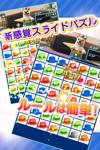 めちゃ犬パズル screenshot 2