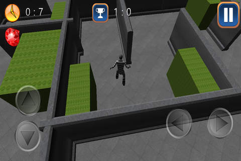 Master Thief 3D screenshot 3
