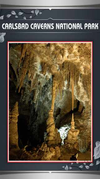 Carlsbad Caverns National Park - USA