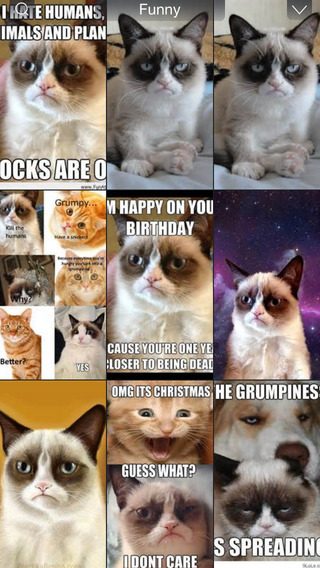 Grumpy Cat Wallpapers - Latest Funny Fat and Happy Grumpy Cats Photo Gallery