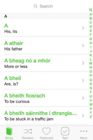 Teach Me Irish Gaelic screenshot 2