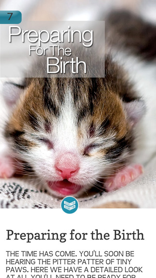 免費下載生活APP|Cat Breeding For Beginners app開箱文|APP開箱王