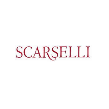 Scarselli LOGO-APP點子