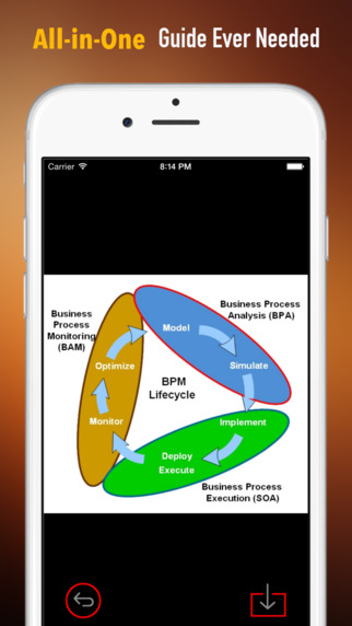 免費下載書籍APP|Business Process Management (BPM) Quick Study Reference: Cheat sheets with Glossary and Video Lessons app開箱文|APP開箱王