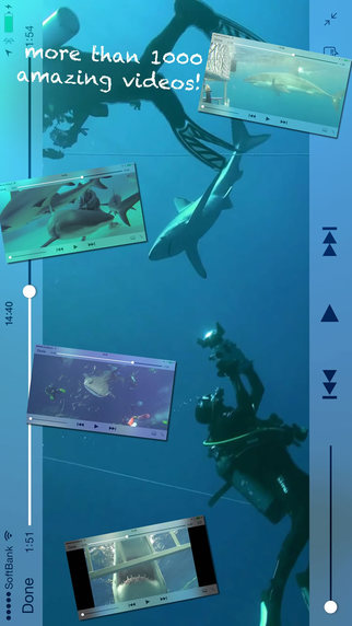 【免費娛樂App】Shark Diving-APP點子