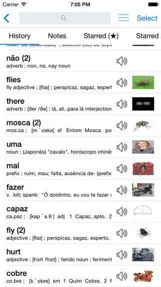Portuguese English Dictionary Box + Translator Inglês - dicionário Português