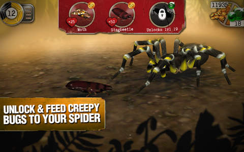Real Scary Spiders screenshot 3