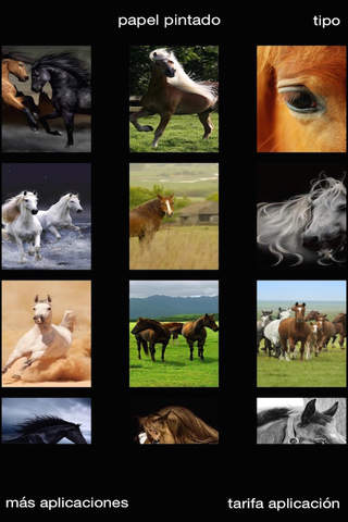 HD Wallpaper for Horse screenshot 3