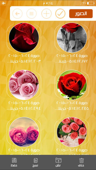 iPhone Screenshot 3
