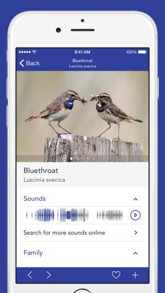 【免費書籍App】iKnow Birds 2 PRO - The Field Guide to the Birds of North America-APP點子