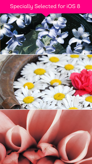 Awesome Natural Flower Wallpapers for iOS 8