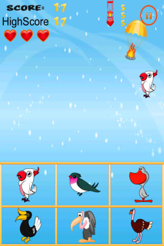 American Bird Match Free Game screenshot 2