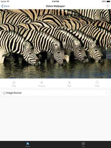 免費下載娛樂APP|Zebra Wallpaper app開箱文|APP開箱王