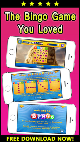 BINGO GOLDEN WIN - Play Online Casino and Gambling Card Game for FREE