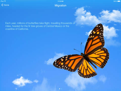 Monarch App