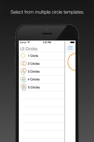 LS Circles screenshot 2