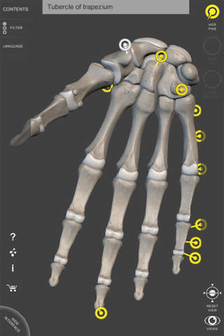 Skeleton 3D Anatomy screenshot 2