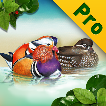 Birds of Korea PRO for iPad LOGO-APP點子