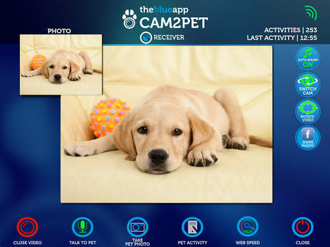 【免費生活App】Cam2Pet - Pet and Dog Sitter App-APP點子