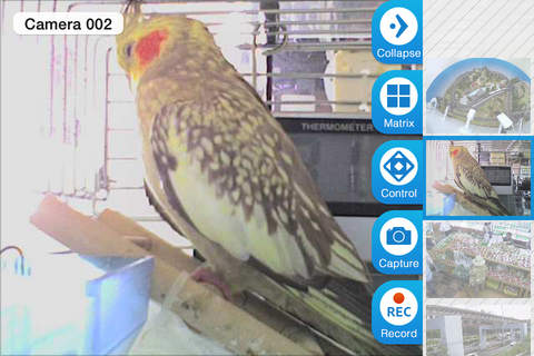 Cam Viewer for Edimax cameras screenshot 2