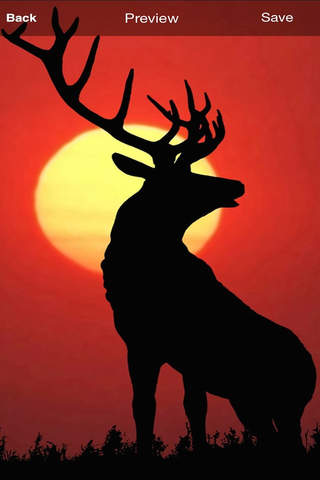 Deer Hunting Wallpaper and Background screenshot 4
