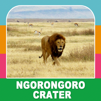 Ngorongoro Crater Travel Guide LOGO-APP點子