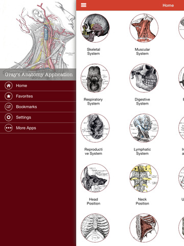 【免費教育App】Gray Anatomy Application 2015-APP點子