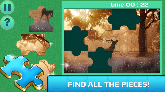Forest Miracles Puzzle