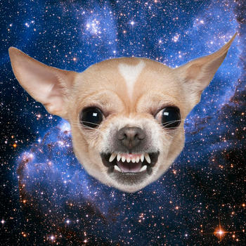 Dogs in Space LOGO-APP點子