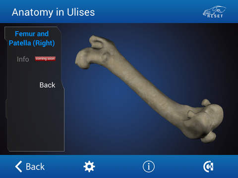 【免費醫療App】Osteology in Dogs (Licensed Version)-APP點子