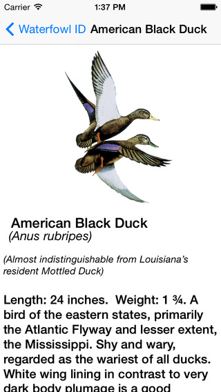 【免費書籍App】Louisiana Department of Wildlife and Fisheries LDWF-APP點子